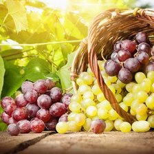 Схема вышивки «Солнечный виноград»