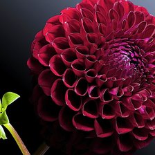 Схема вышивки «№1905518»