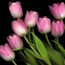 Схема вышивки «№1905521»