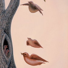 Девушка -птица