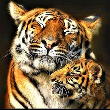 Схема вышивки «№1905909»