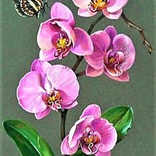 Схема вышивки «№1906017»