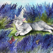 Схема вышивки «Кот в лаванде.»