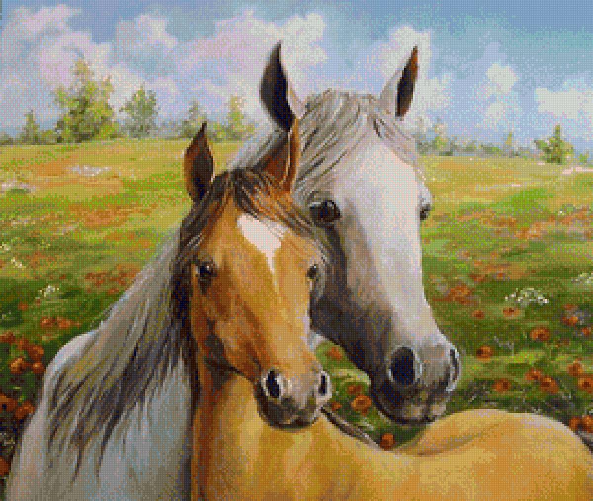 лошадь - лошади - предпросмотр