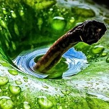 Схема вышивки «Фрукты»