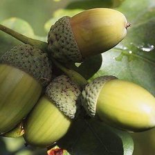 Схема вышивки «№1906249»