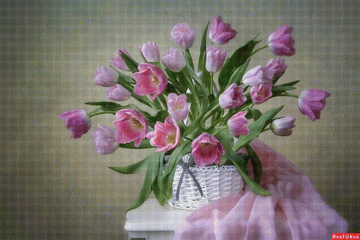 Тюльпаны - предпросмотр