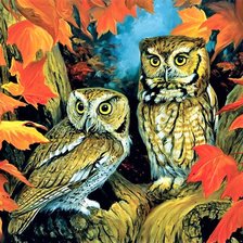 Схема вышивки «совушки»