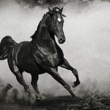 Схема вышивки «лошадь»