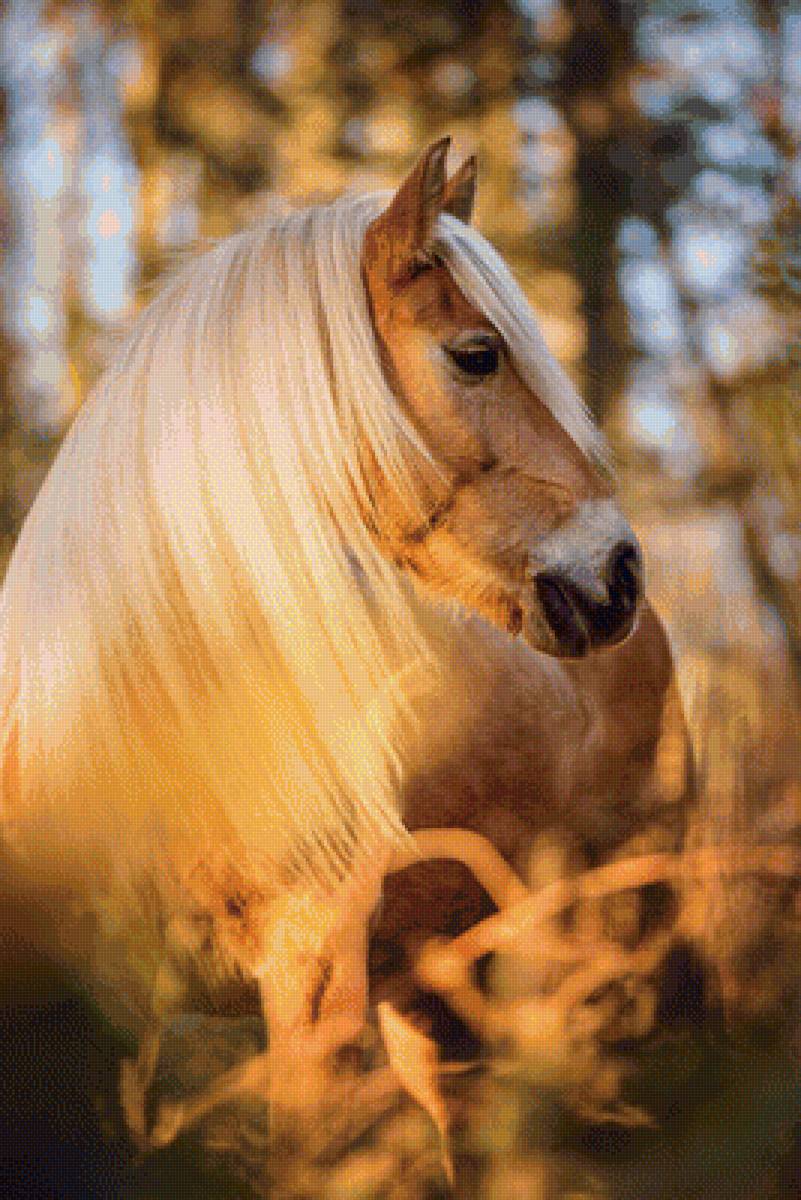 Лошадь - лошадь, животные - предпросмотр