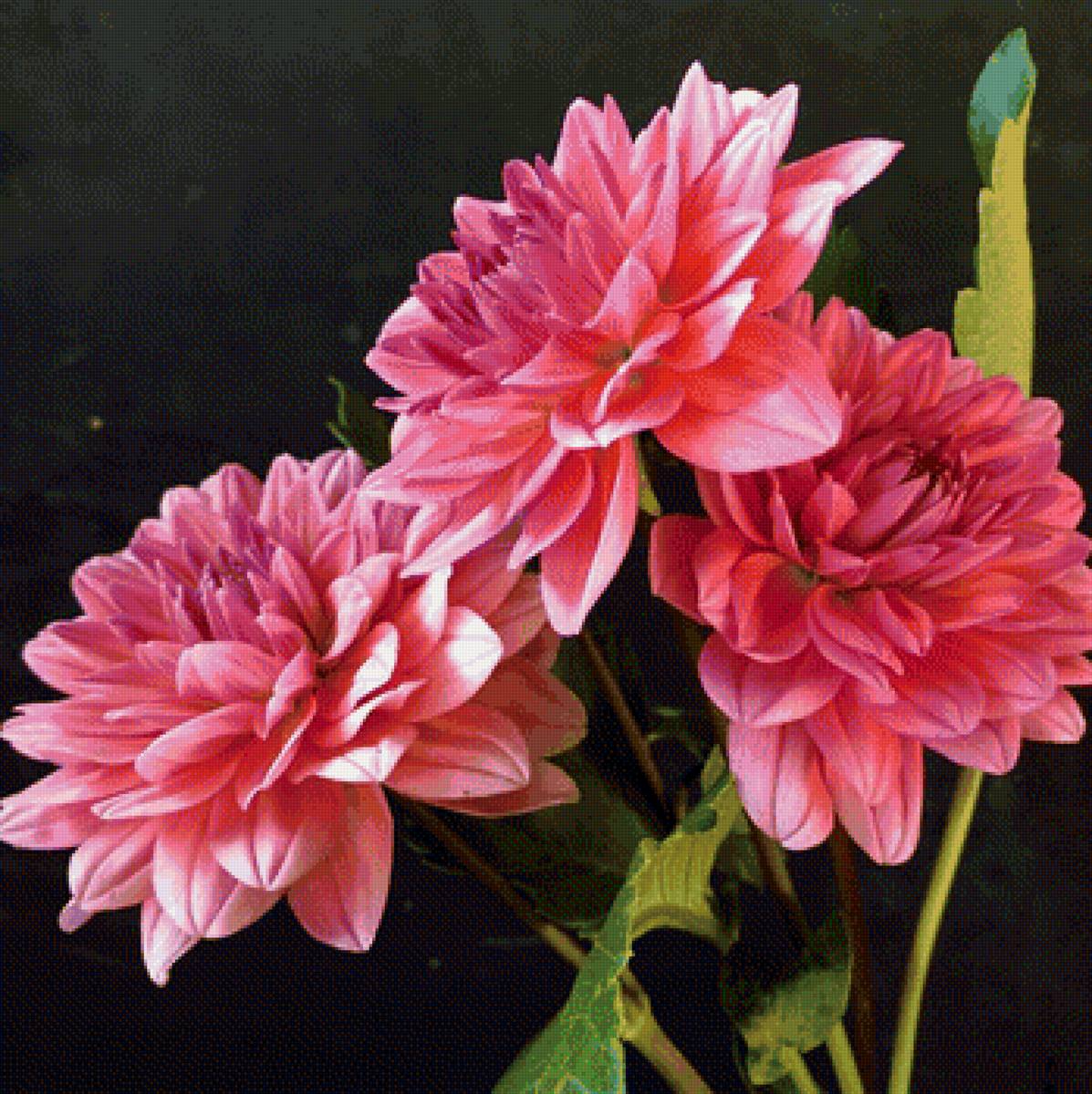 Цветы - цветы, букет - предпросмотр