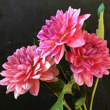 Схема вышивки «Цветы»