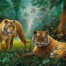 Схема вышивки «дикие»