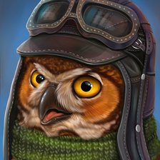 Схема вышивки «Сова»