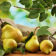 Схема вышивки «Груши»