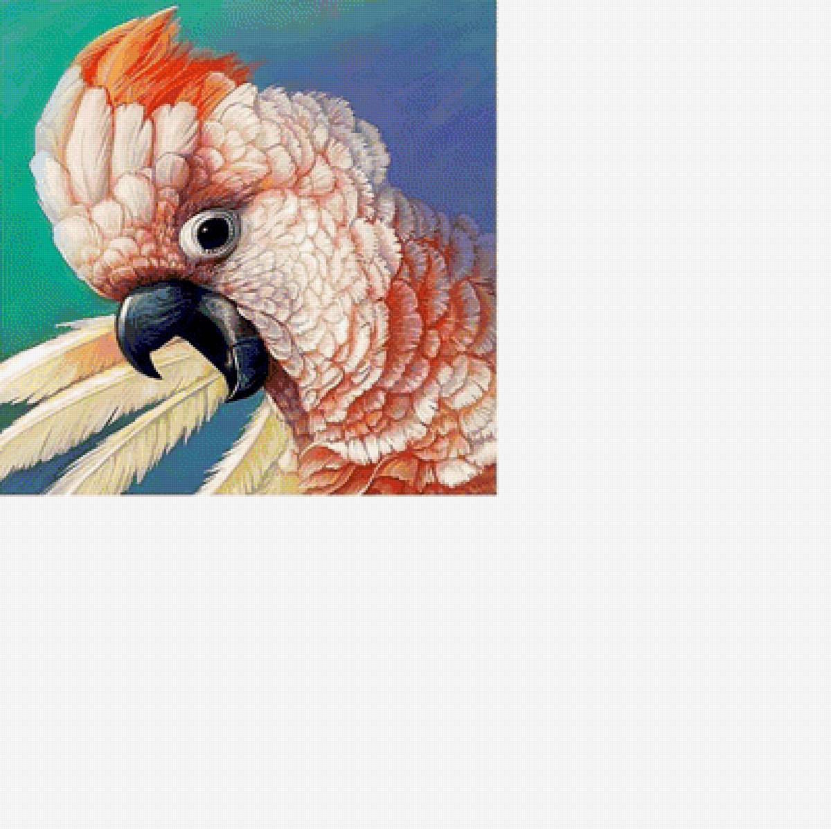 №1906707 - предпросмотр