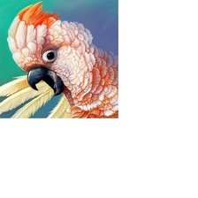 Схема вышивки «№1906707»