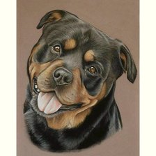 Схема вышивки «№1906714»