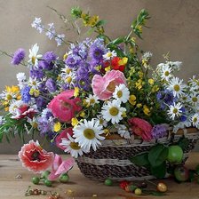 Схема вышивки «Полевые цветы»