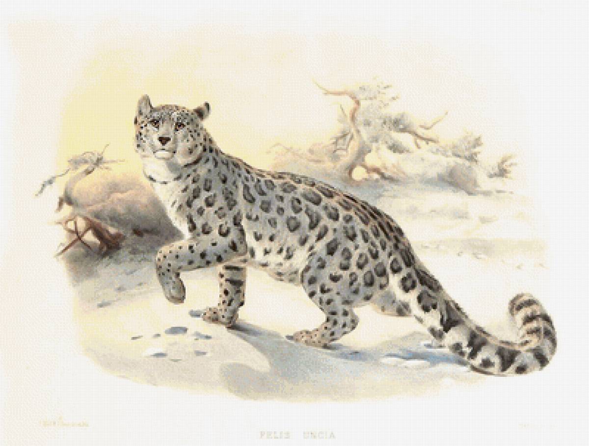 мир животных - мир животных - предпросмотр