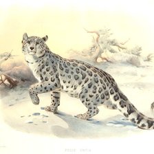 Схема вышивки «мир животных»