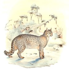 Схема вышивки «мир животных»