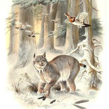 Схема вышивки «мир животных»