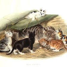 Схема вышивки «мир животных»