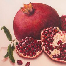 Схема вышивки «гранат»