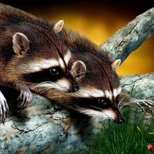 Схема вышивки «Еноты»