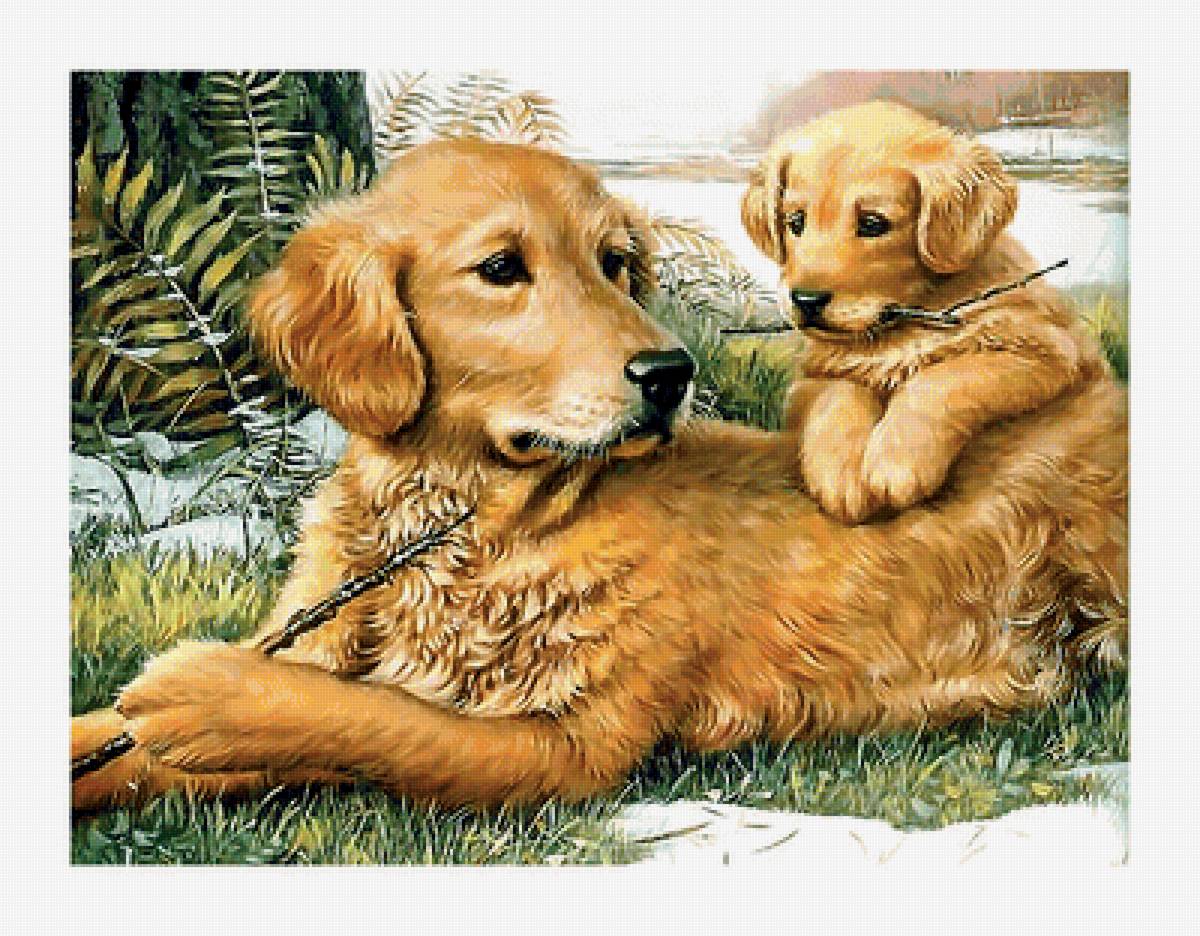 Серия "Собаки". - собаки, животные - предпросмотр