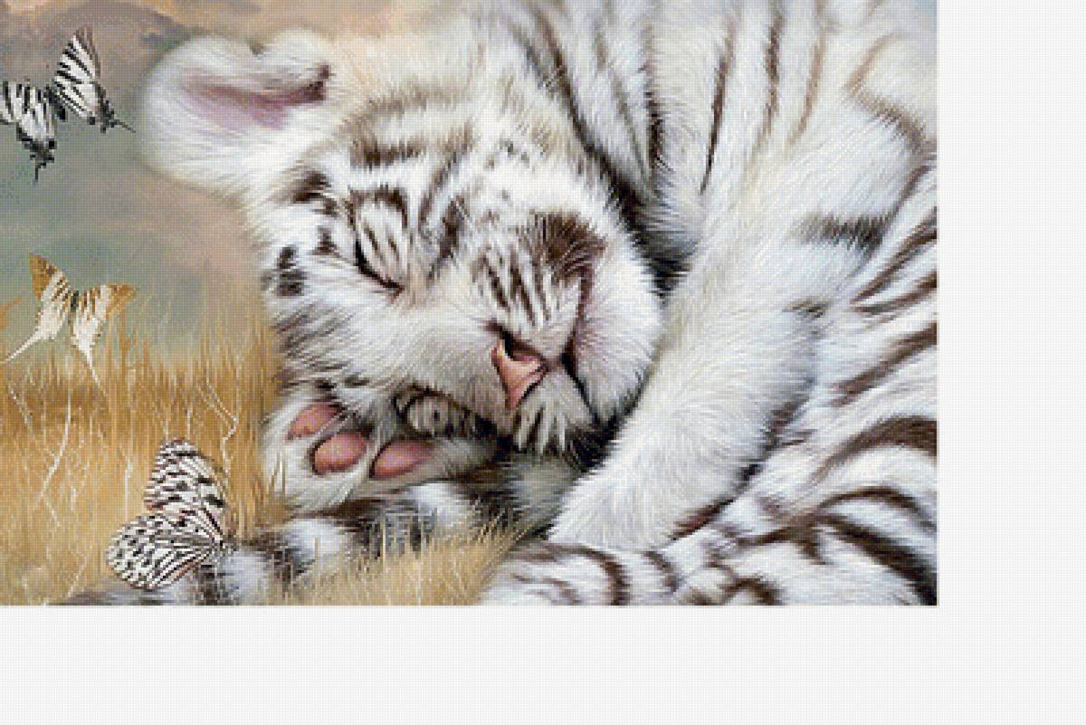 Тигренок и бабочки - звери, животные - предпросмотр