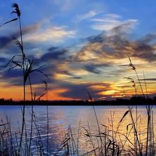 Схема вышивки «ЛЕТНИЙ ПЕЙЗАЖ»