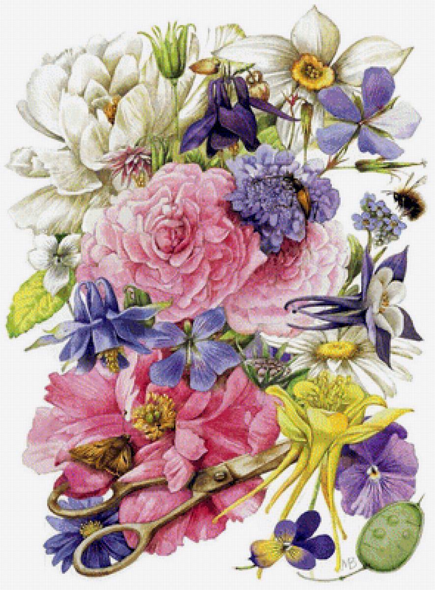 kvety - предпросмотр