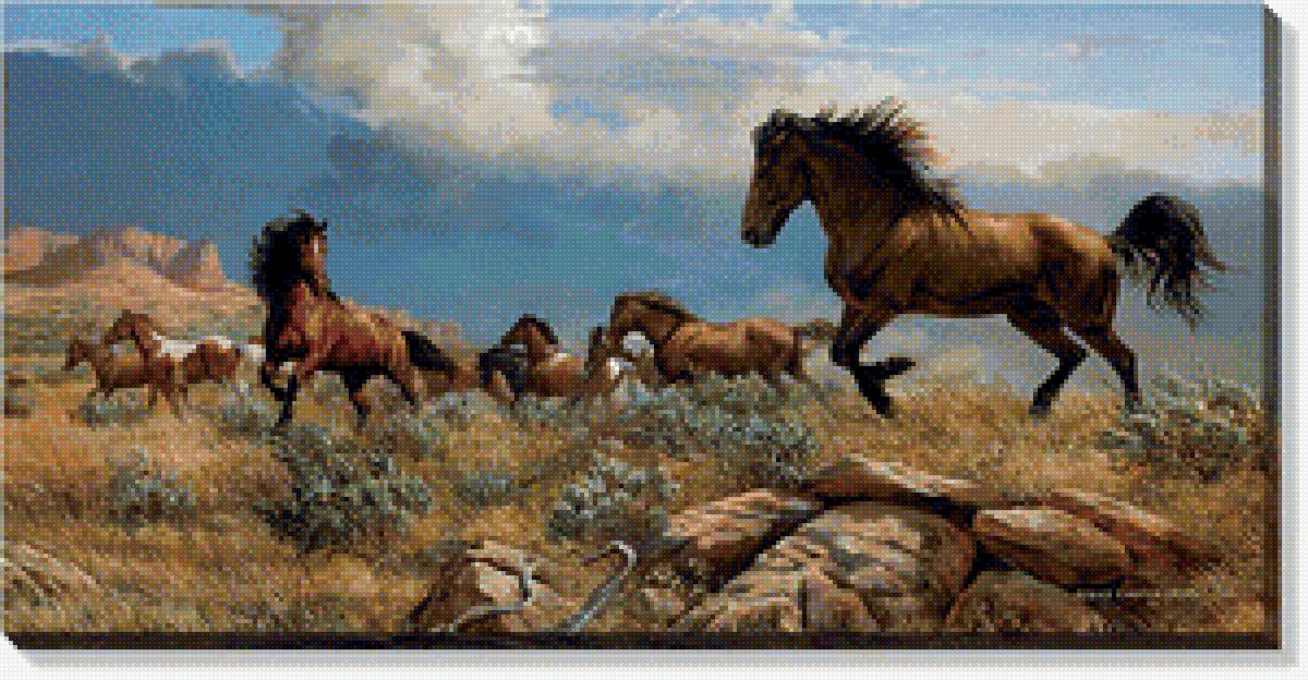 Лошади в горах - предпросмотр