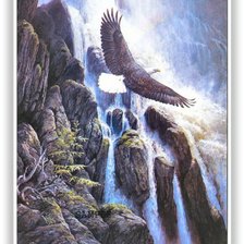 Схема вышивки «Орёл»