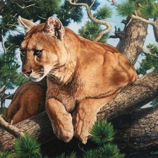 Схема вышивки «Пума на ветке»