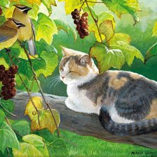 Схема вышивки «Кот и птички»