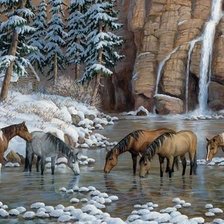 Зимний водопой