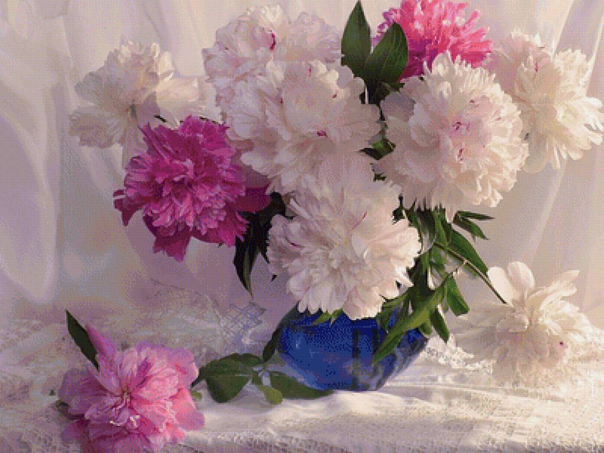 Пионы - натюрморт, пионы, букет, цветы - предпросмотр