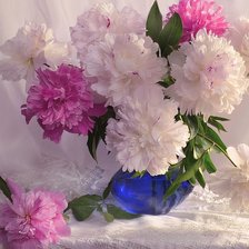 Схема вышивки «Пионы»