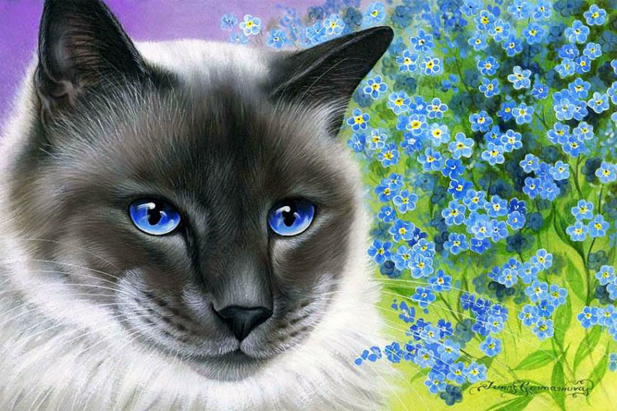 mačka,nezábudky - оригинал