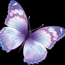 Схема вышивки «бабочка»