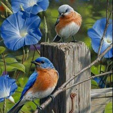 Схема вышивки «Птицы»