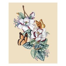 Схема вышивки «№1907792»