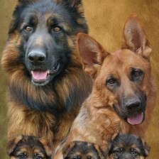 Схема вышивки «овчарки»