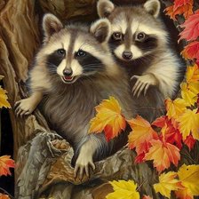 Схема вышивки «Еноты»