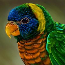 Схема вышивки «Попугайчик»