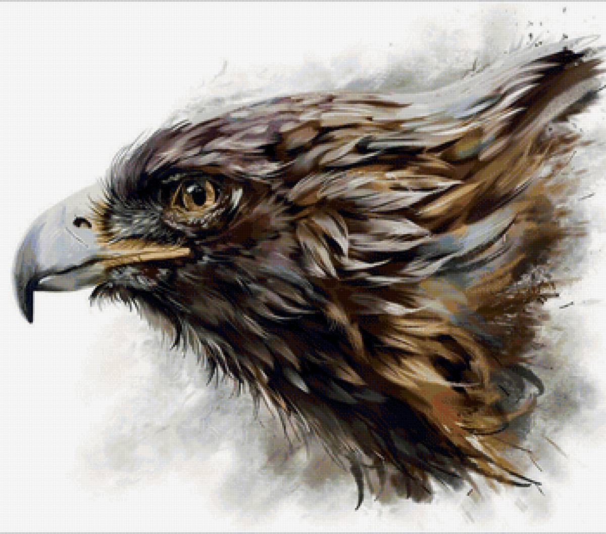 Орёл - птица, рисунок, орел - предпросмотр