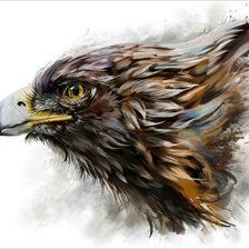 Схема вышивки «Орёл»